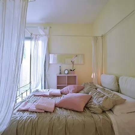 Sogno D'oro